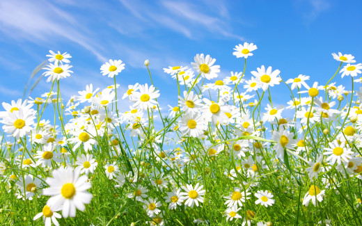 509738 (a): :2560x1600